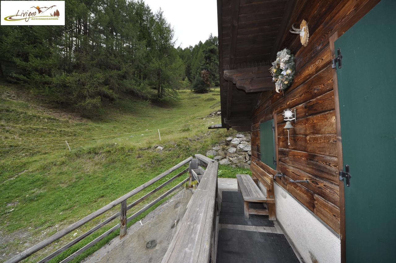 Chalet Stebline Livigno