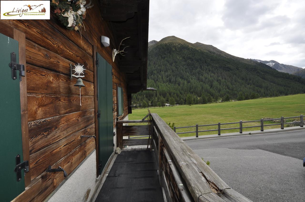Chalet Stebline