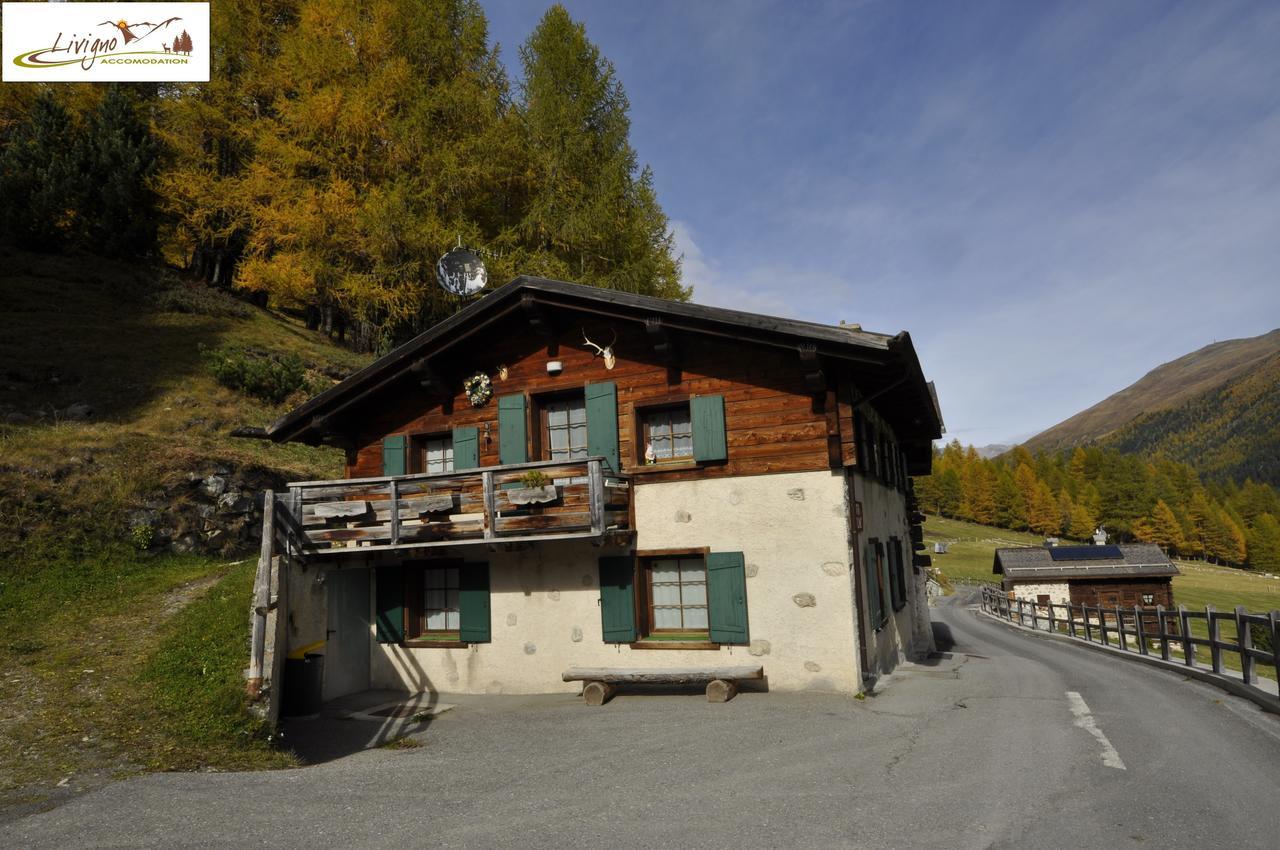 Stebline Livigno