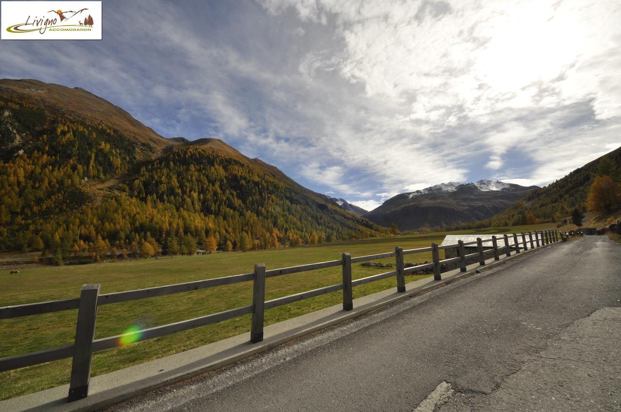 Stebline Livigno